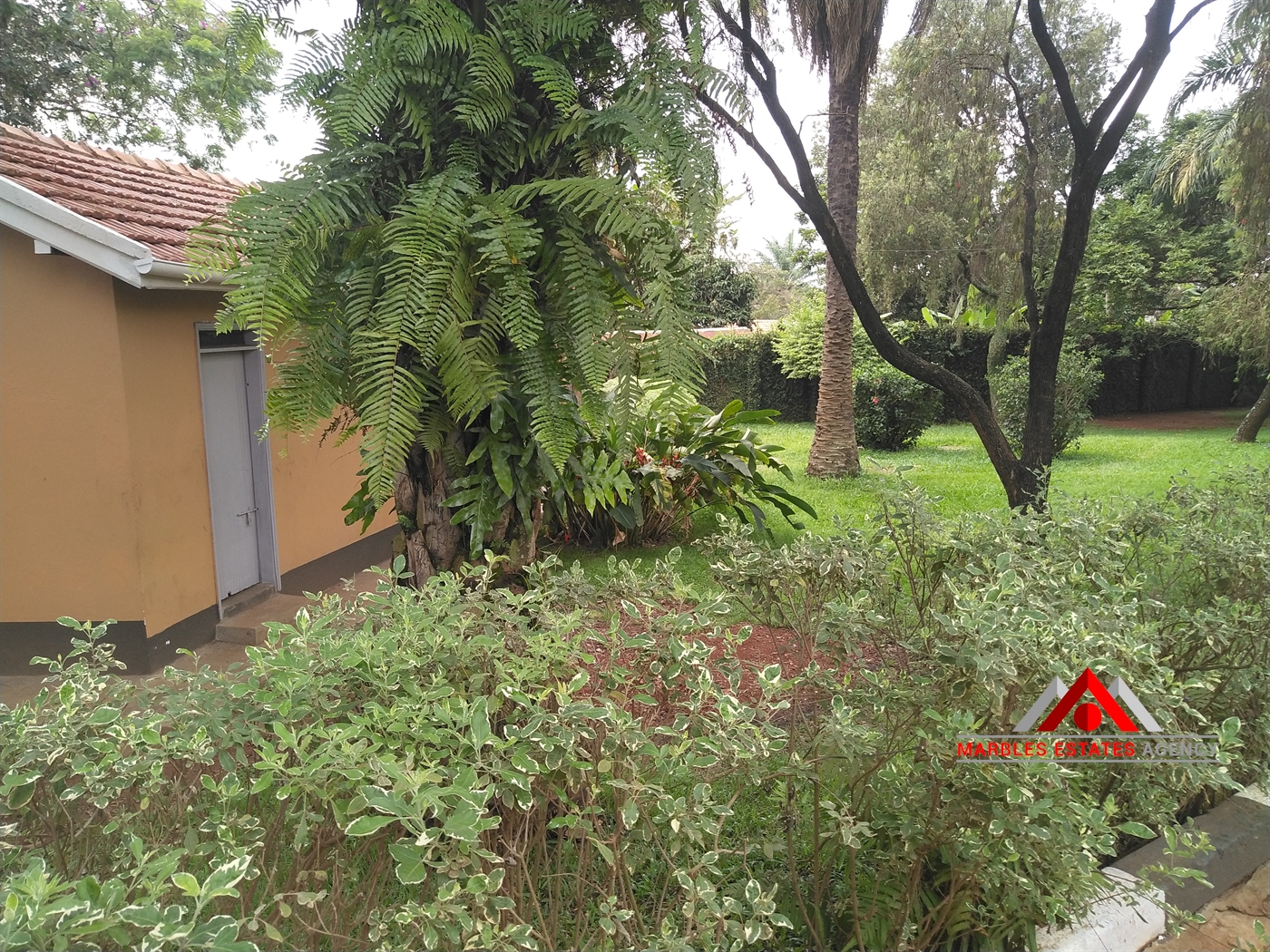 Bungalow for rent in Muyenga Kampala