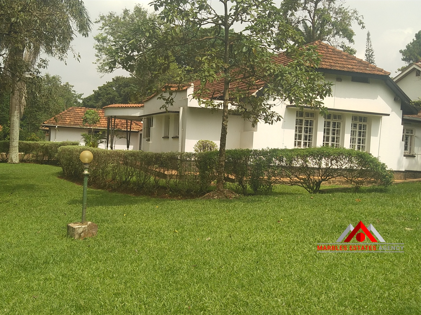 Bungalow for rent in Kololo Kampala