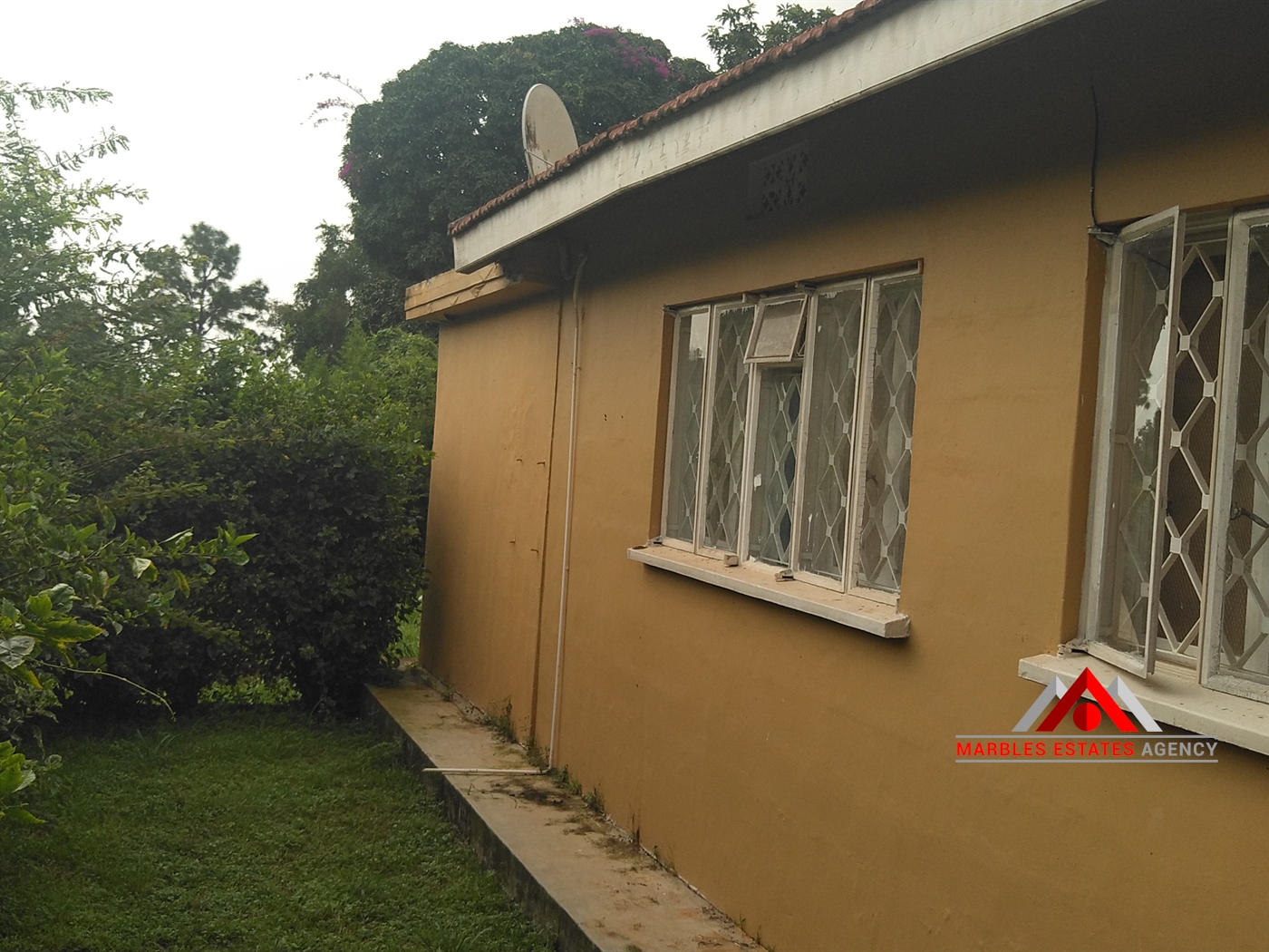 Bungalow for rent in Kololo Kampala