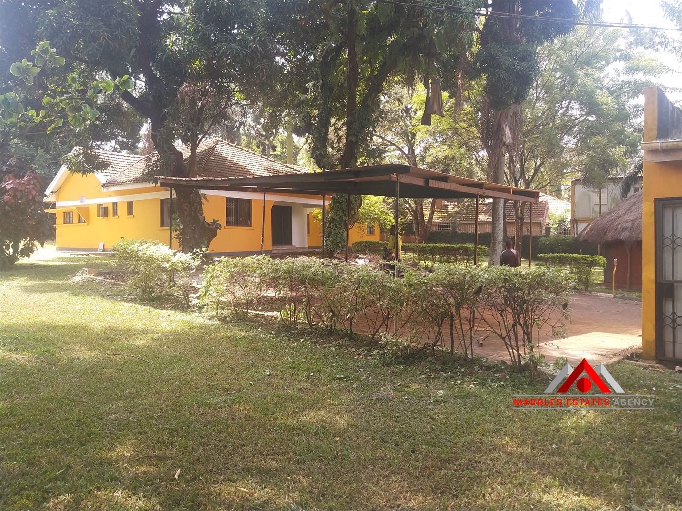 Bungalow for rent in Kololo Kampala