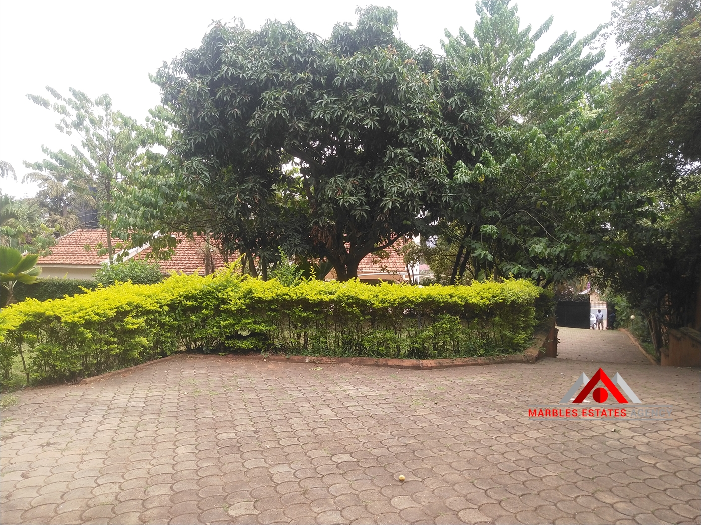 Bungalow for rent in Naguru Kampala