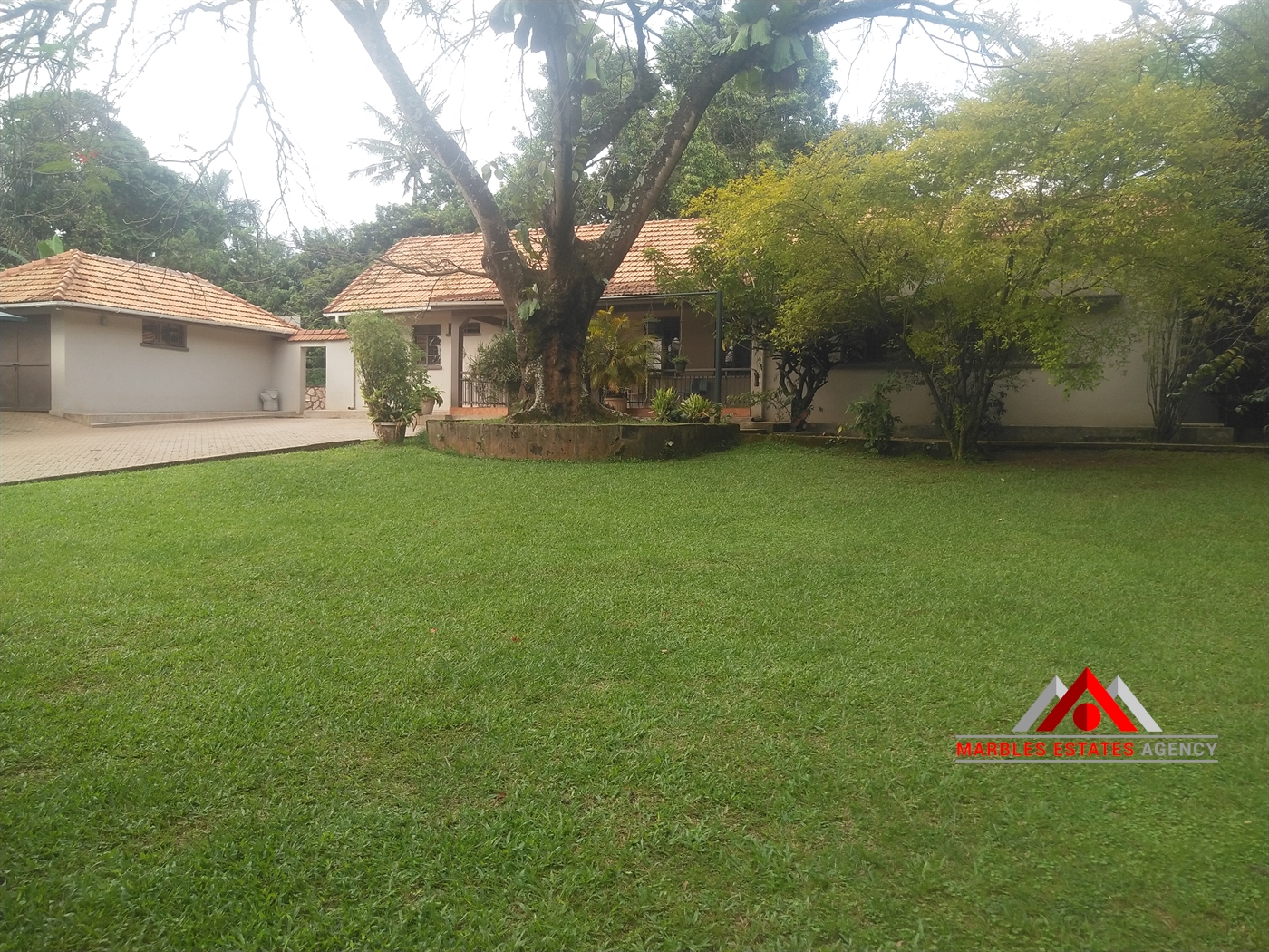 Bungalow for rent in Kololo Kampala