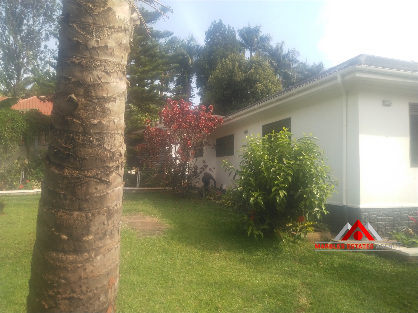 Bungalow for rent in Mbuya Kampala