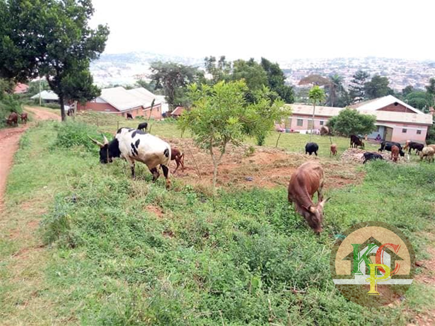 Residential Land for sale in Kireka Wakiso