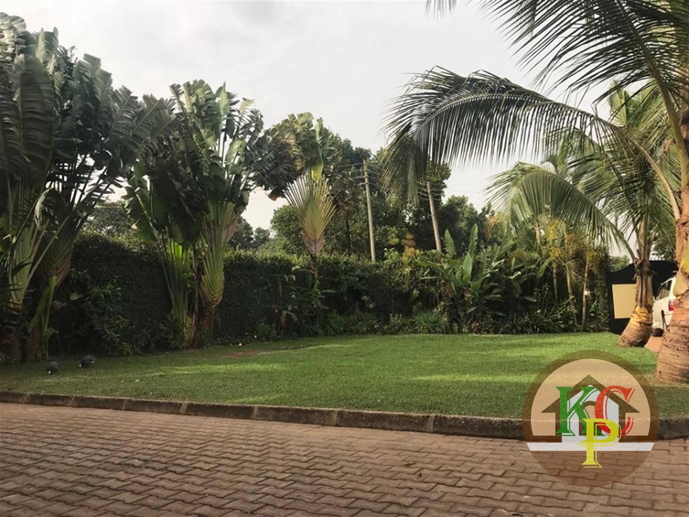 Mansion for rent in Muyenga Kampala