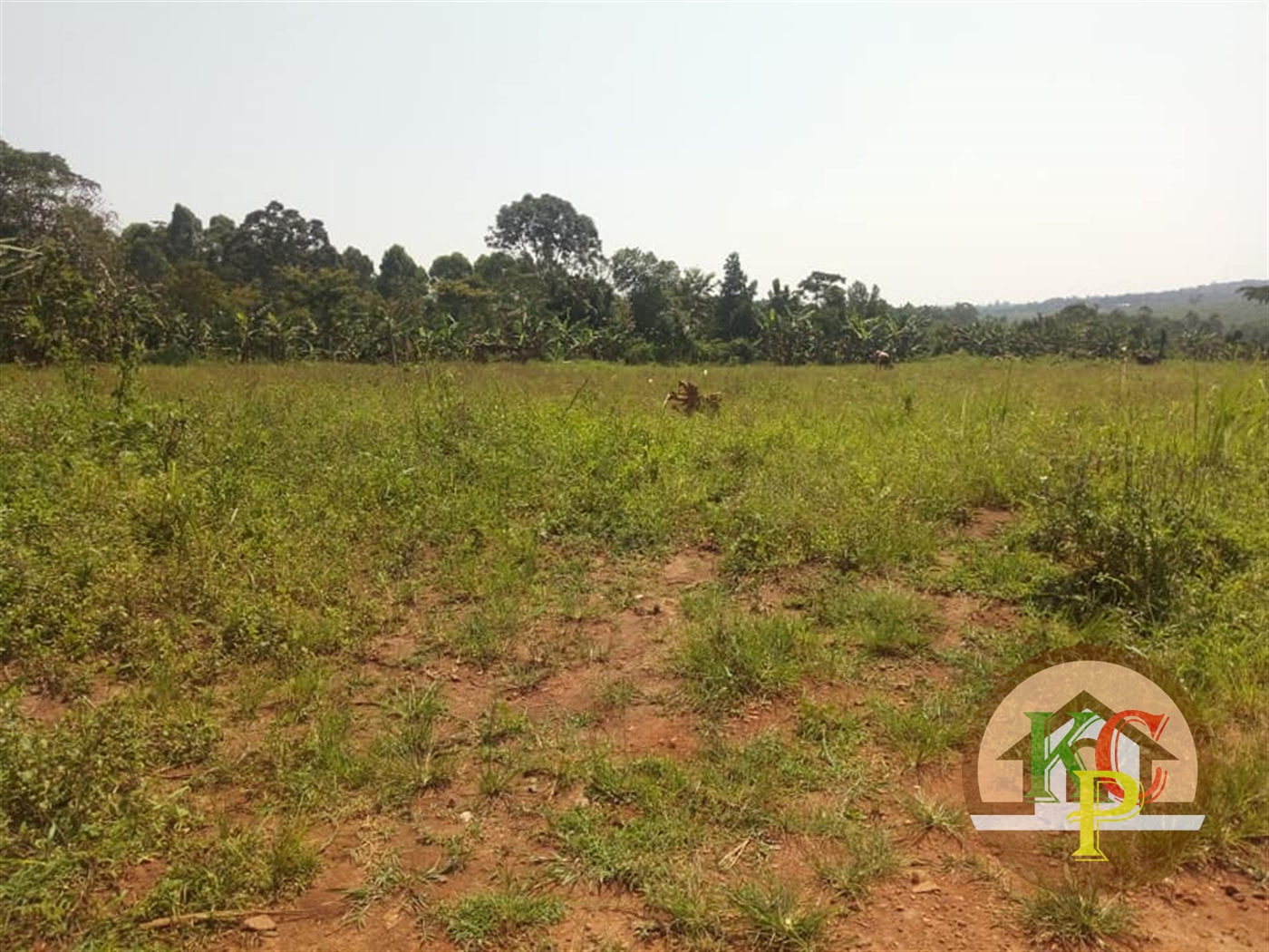 Residential Land for sale in Bukeelele Mukono