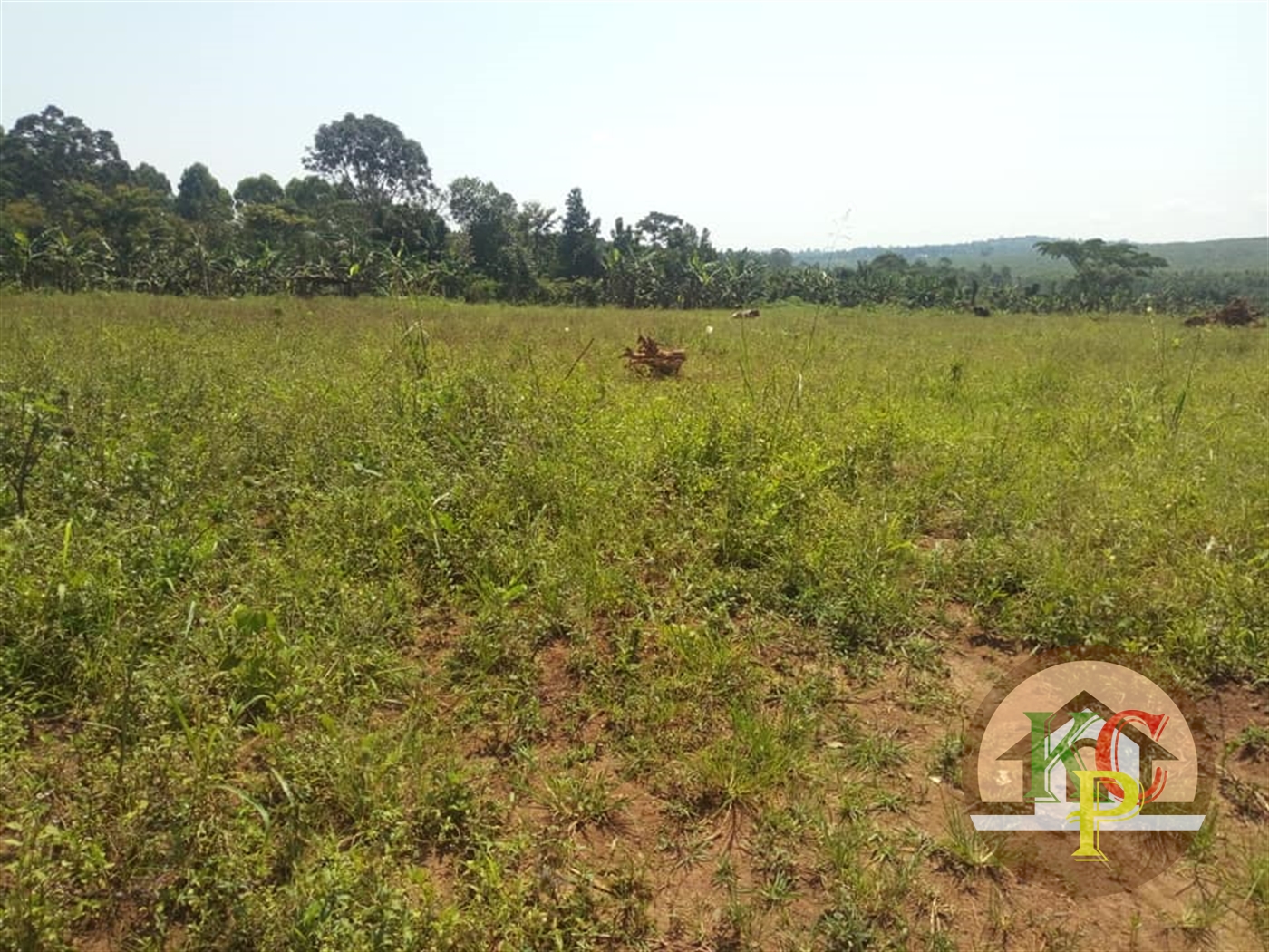 Residential Land for sale in Bukeelele Mukono