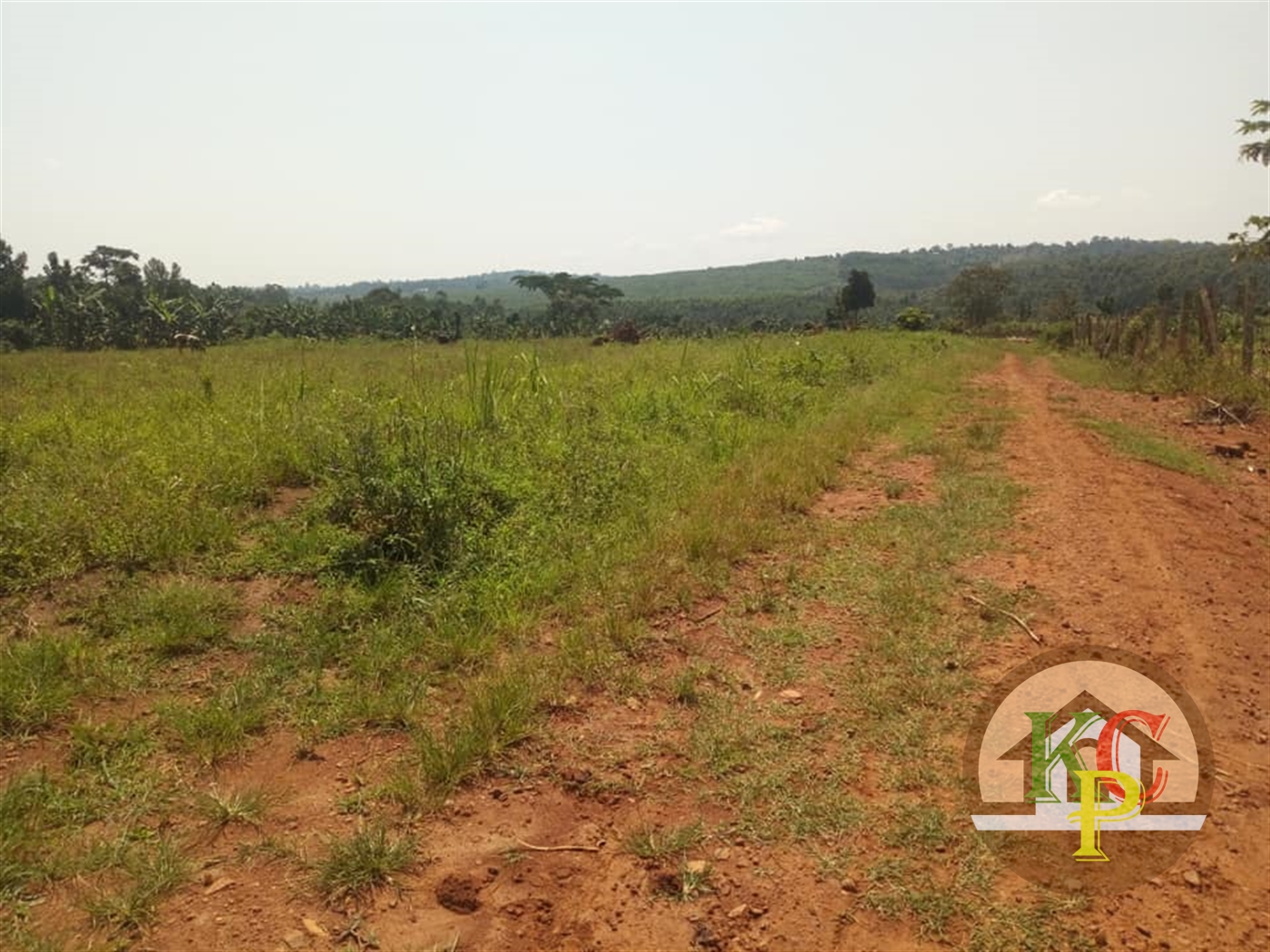 Residential Land for sale in Bukeelele Mukono