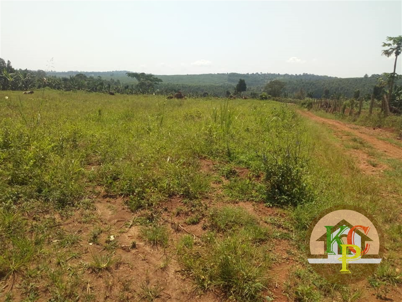 Residential Land for sale in Bukeelele Mukono