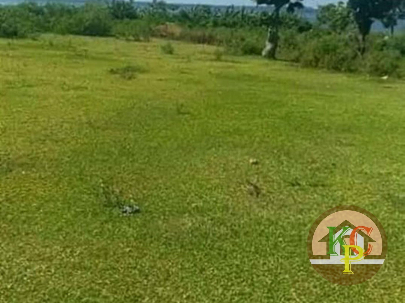 Agricultural Land for sale in Kikyuusa Luweero