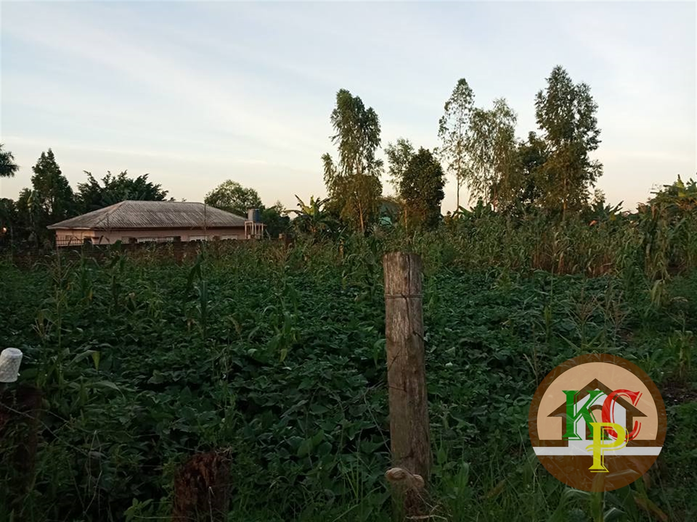 Residential Land for sale in Bweyogerere Wakiso