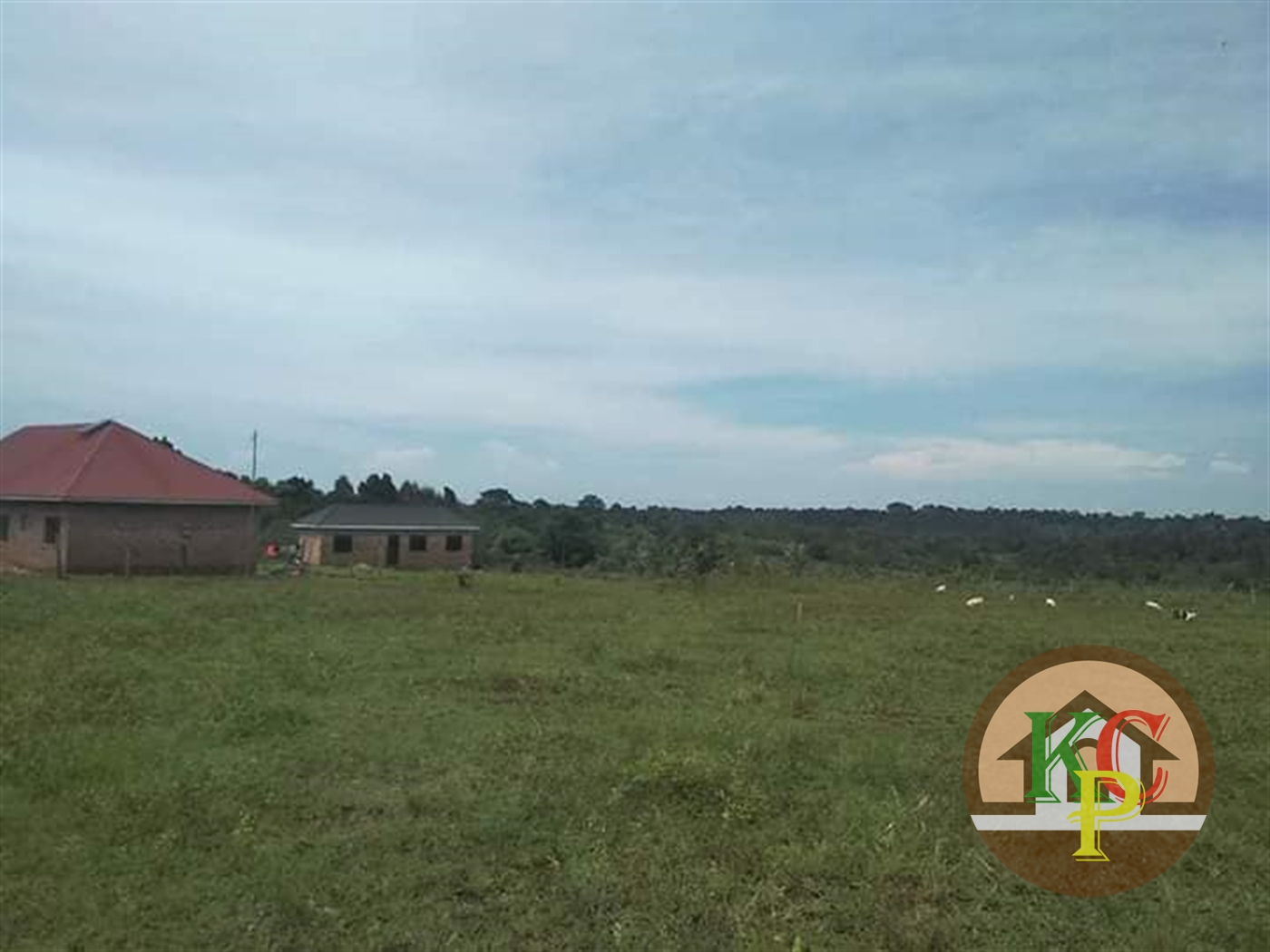 Residential Land for sale in Kiyunga Mukono