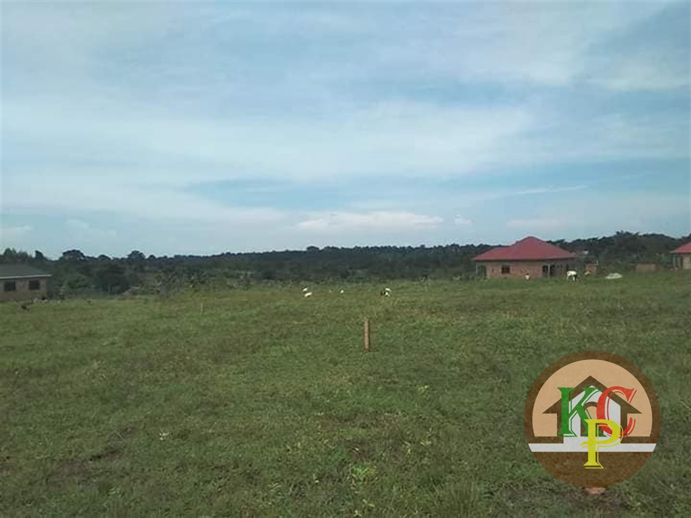 Residential Land for sale in Kiyunga Mukono