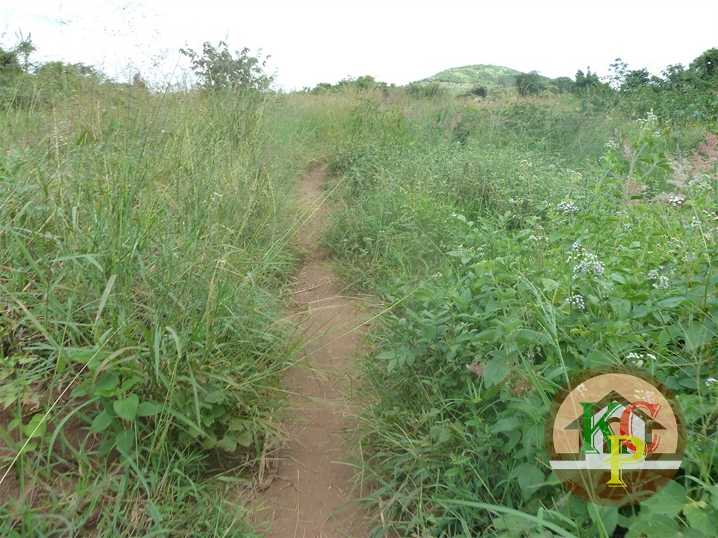 Residential Land for sale in Ziloobwe Luweero