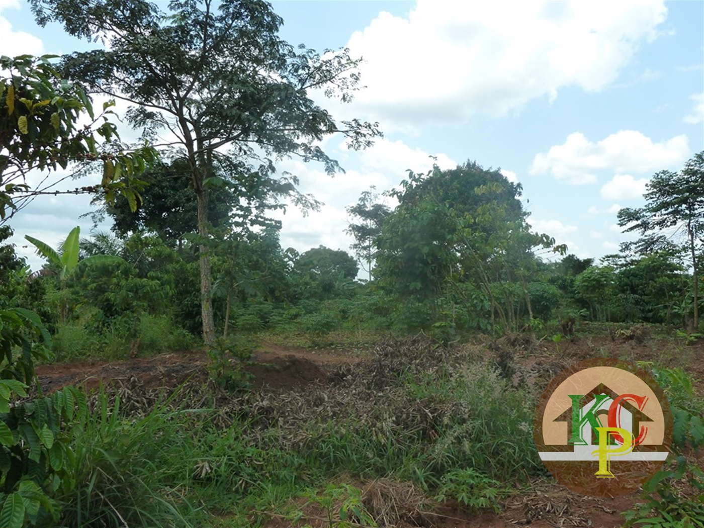 Residential Land for sale in Ziloobwe Luweero