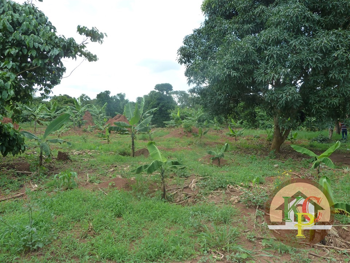 Residential Land for sale in Ziloobwe Luweero