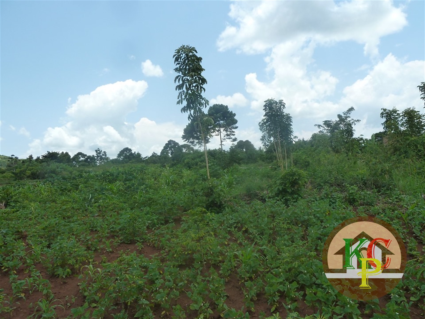 Residential Land for sale in Ziloobwe Luweero