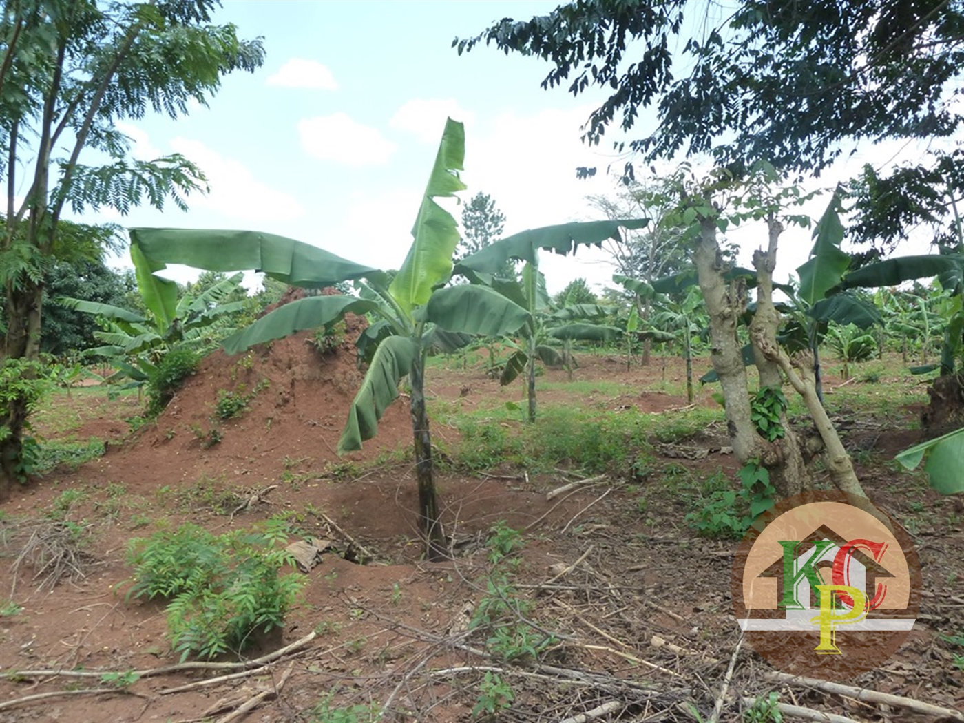 Residential Land for sale in Ziloobwe Luweero