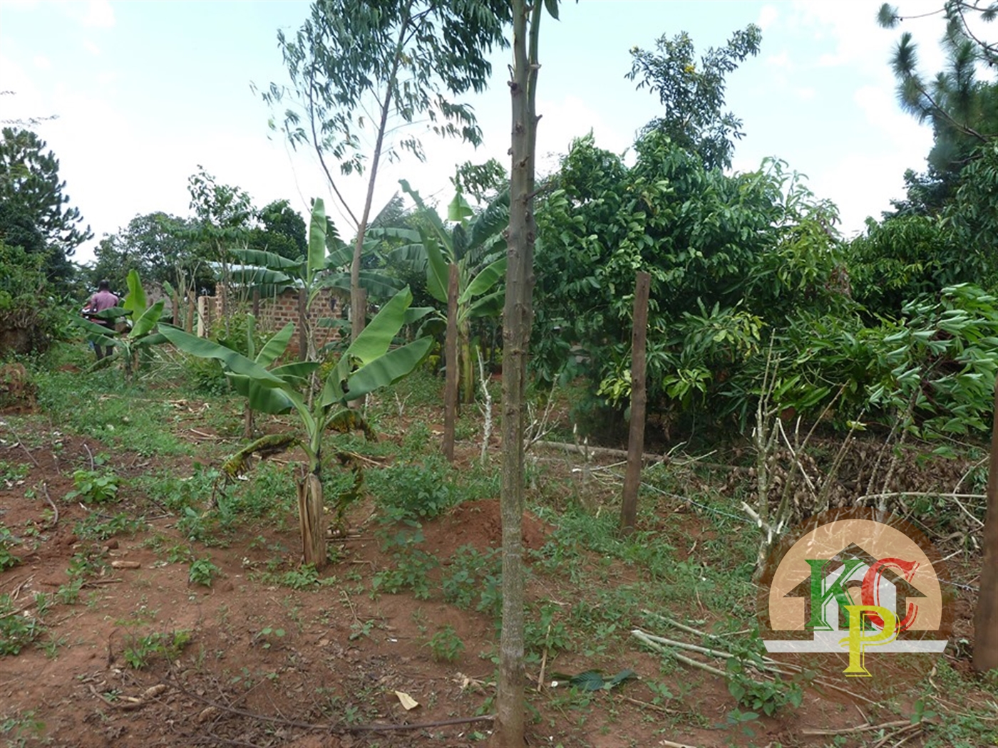 Residential Land for sale in Ziloobwe Luweero