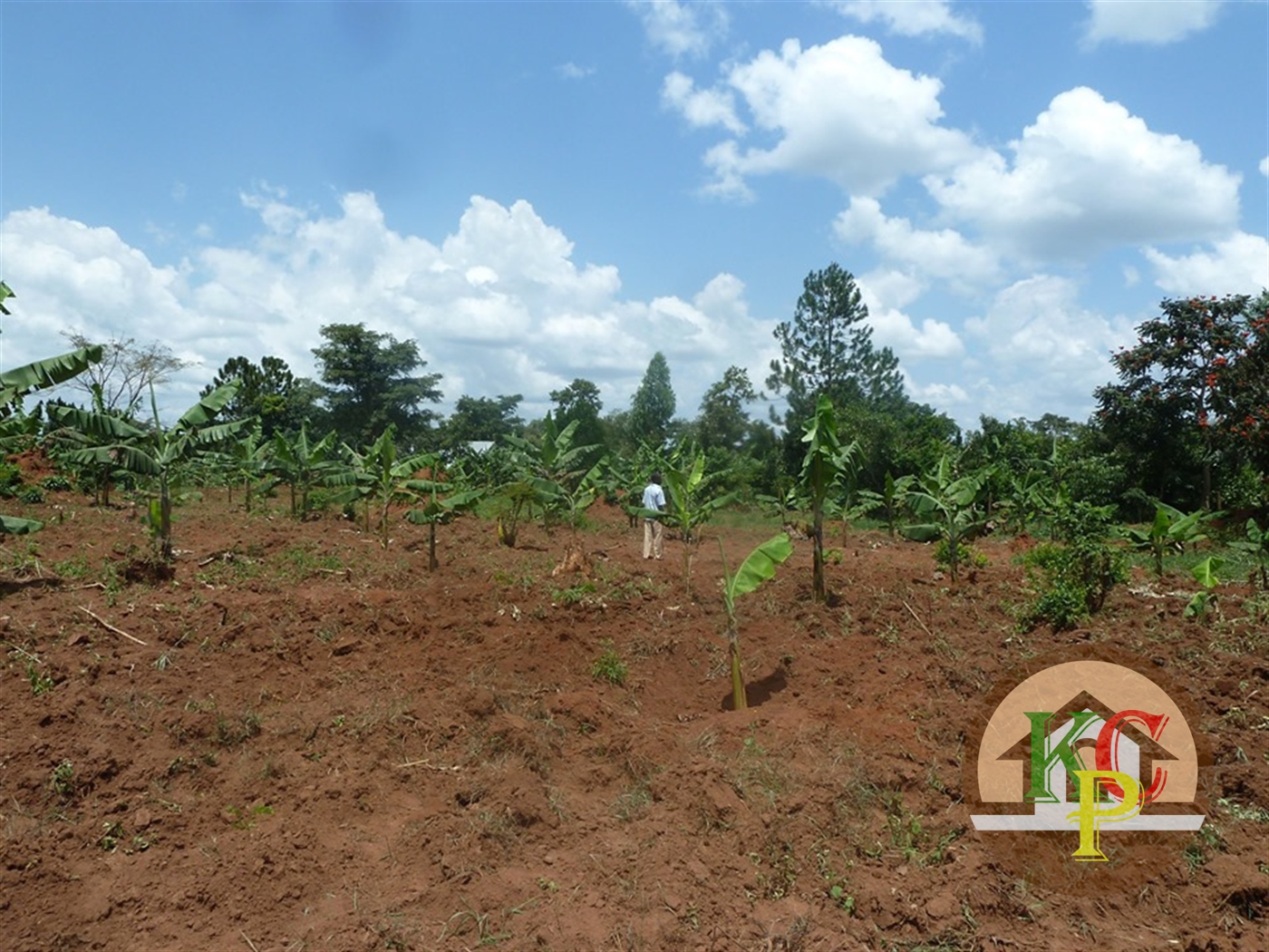 Residential Land for sale in Ziloobwe Luweero