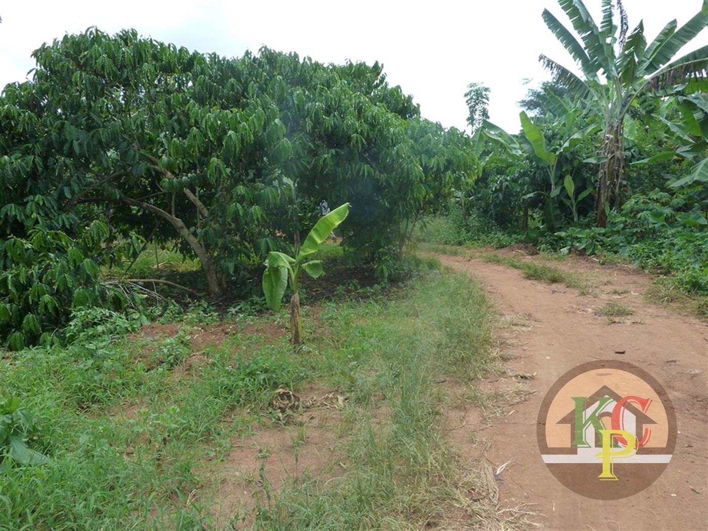 Residential Land for sale in Ziloobwe Luweero