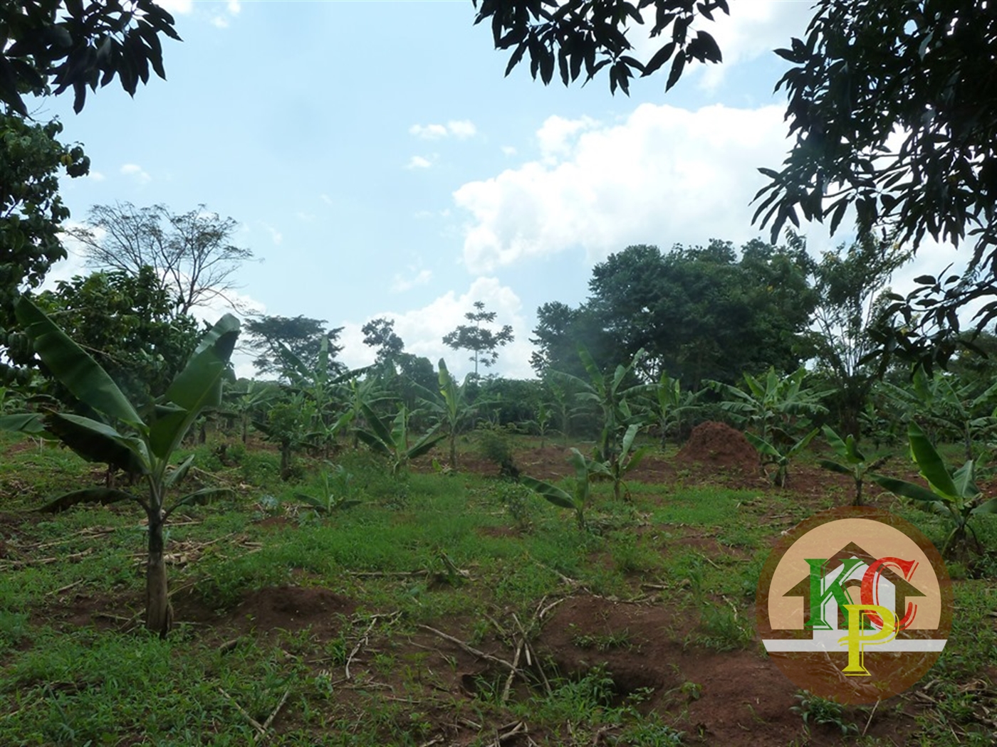 Residential Land for sale in Ziloobwe Luweero