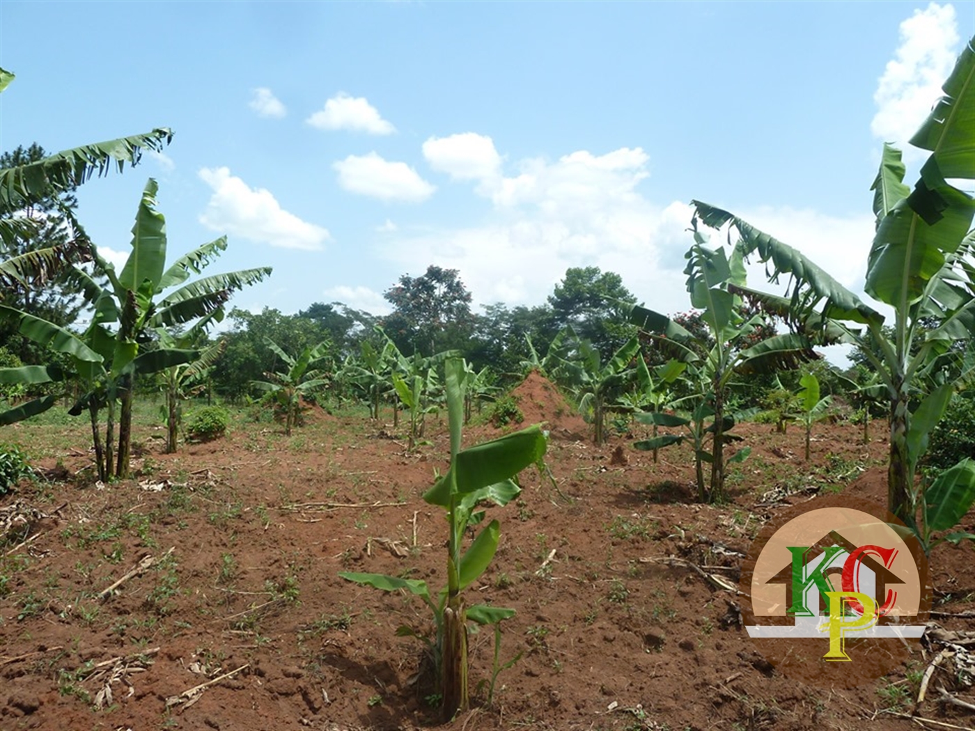 Residential Land for sale in Ziloobwe Luweero