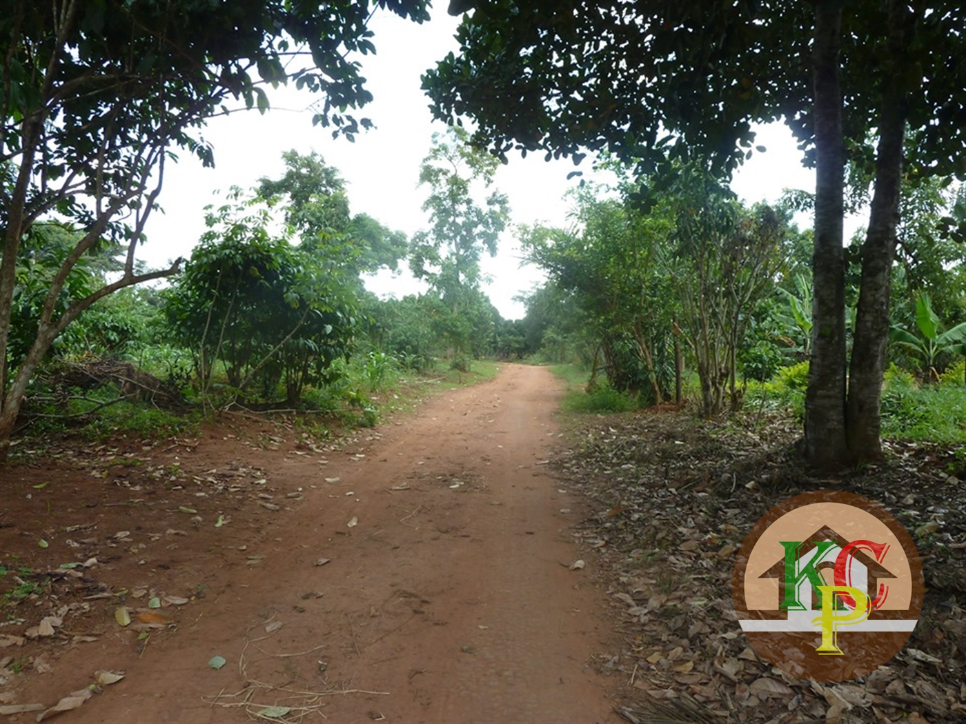 Residential Land for sale in Ziloobwe Luweero