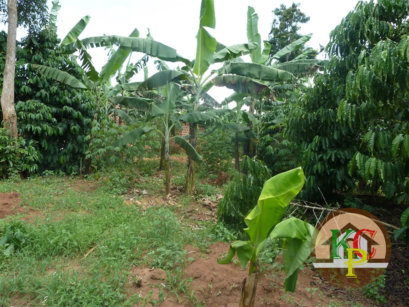 Residential Land for sale in Ziloobwe Luweero