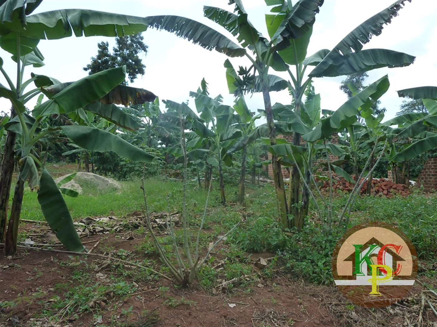 Residential Land for sale in Ziloobwe Luweero