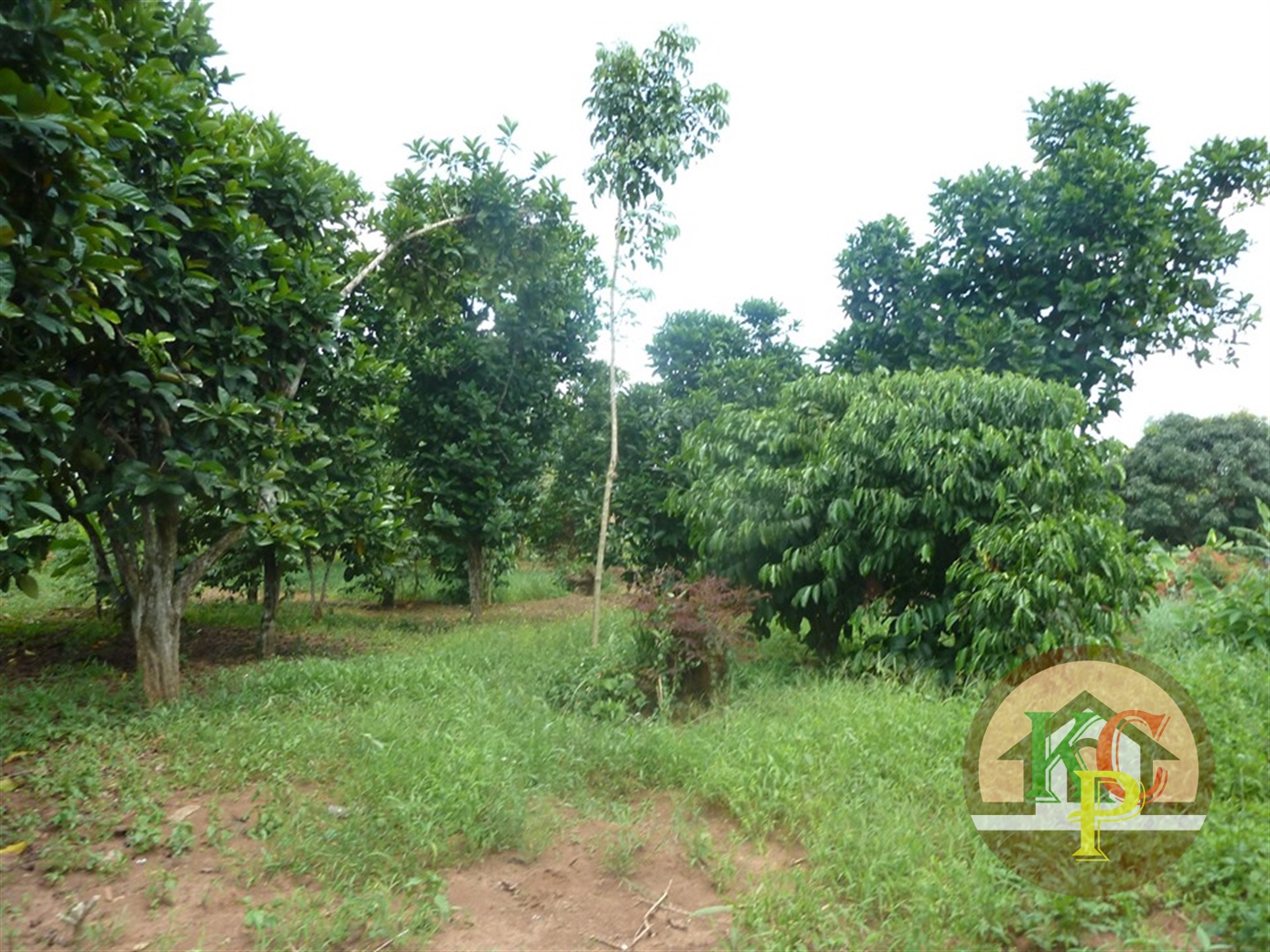 Residential Land for sale in Ziloobwe Luweero