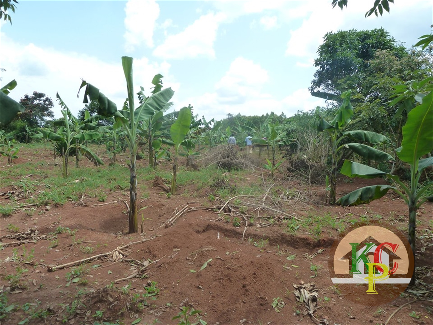 Residential Land for sale in Ziloobwe Luweero