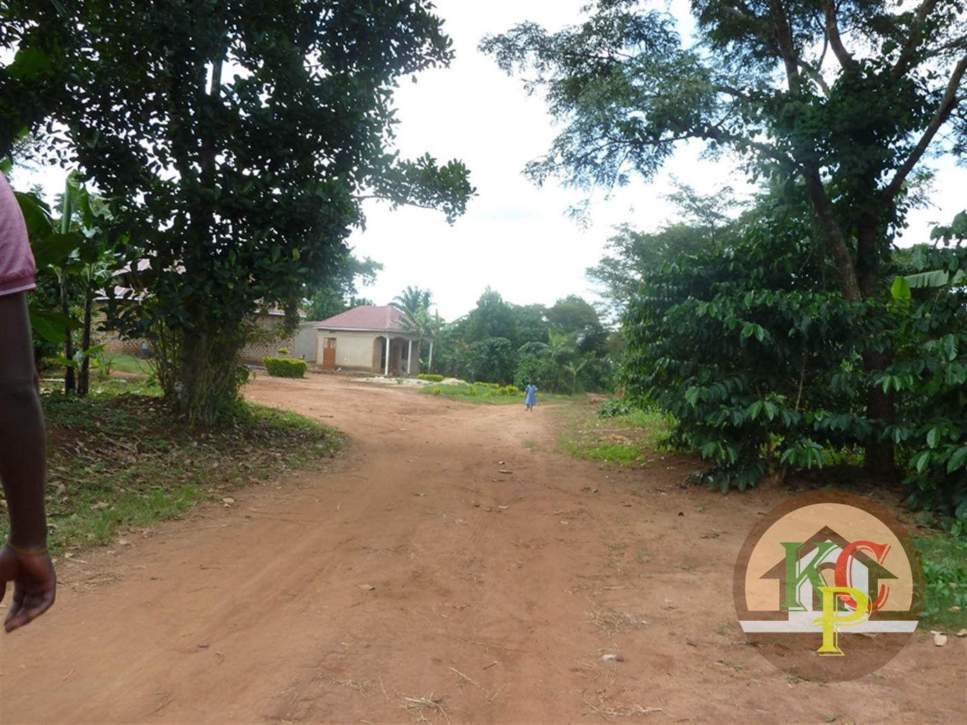 Residential Land for sale in Ziloobwe Luweero