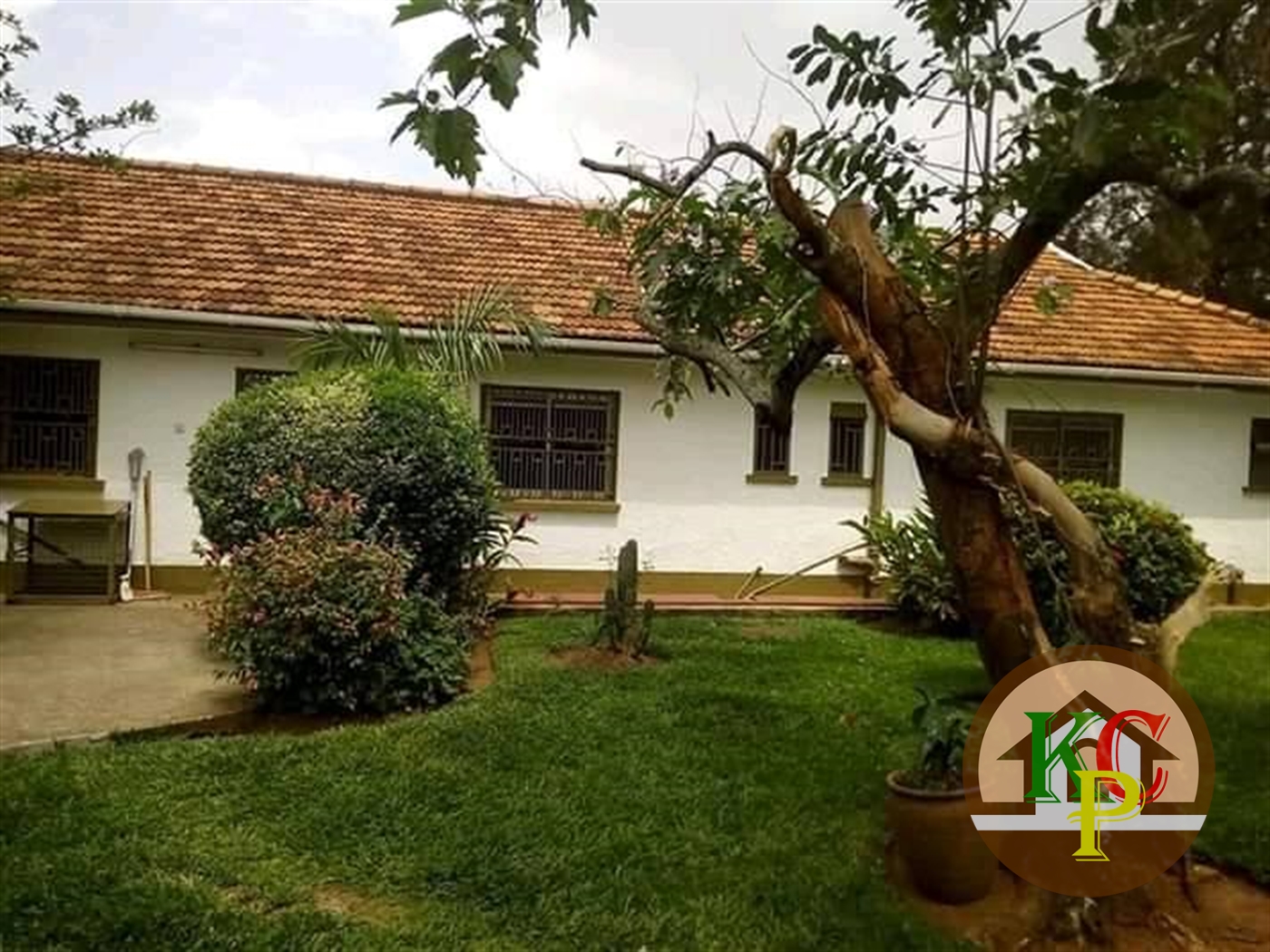 Bungalow for rent in Kololo Kampala