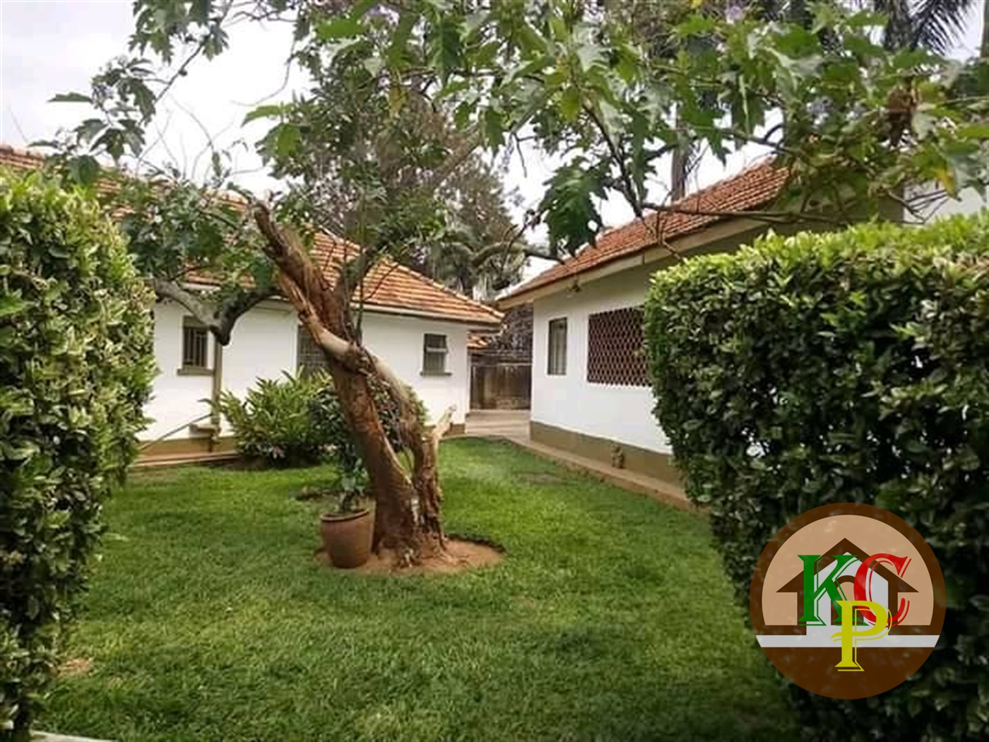 Bungalow for rent in Kololo Kampala