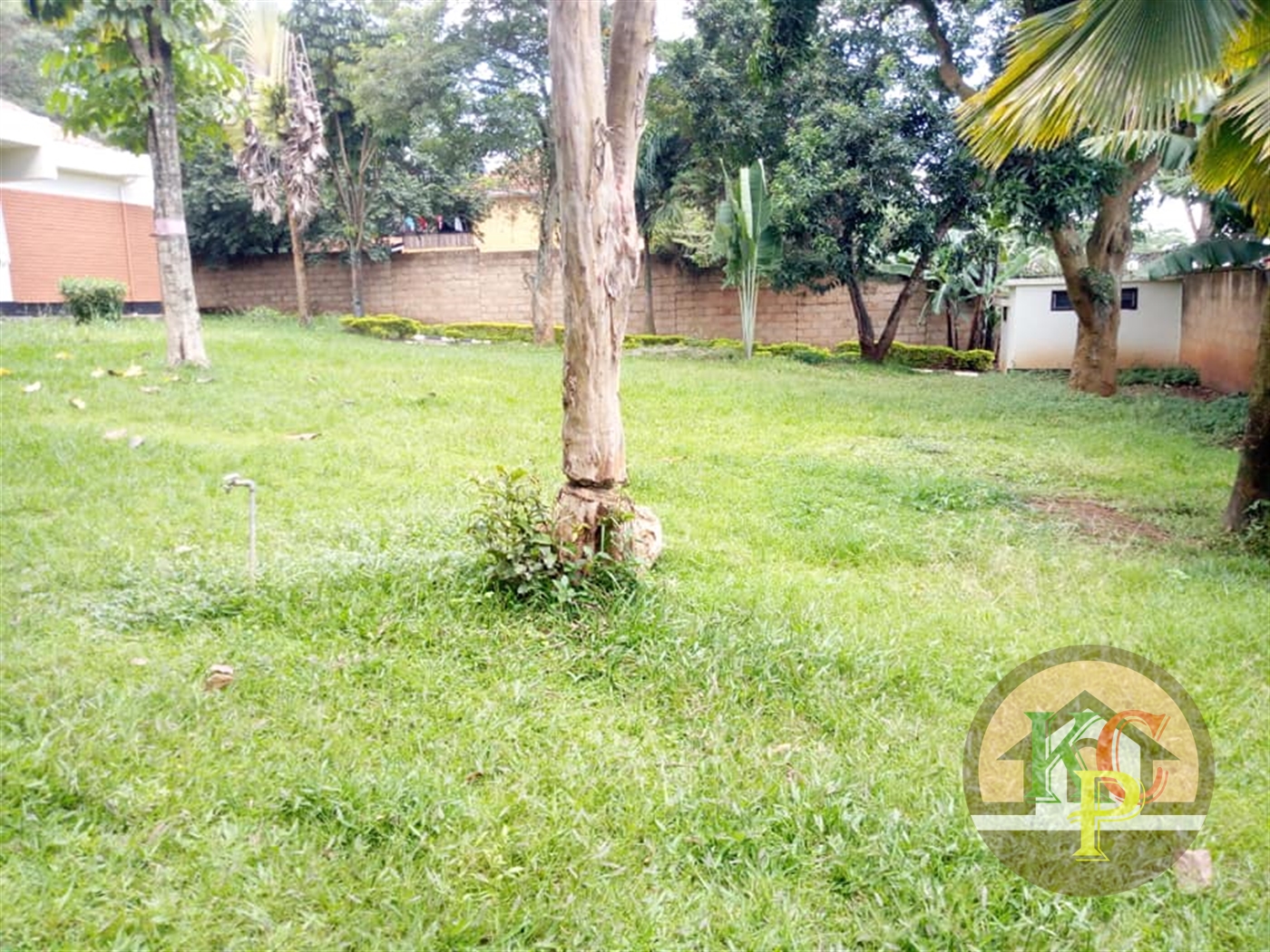 Bungalow for rent in Bugoloobi Kampala