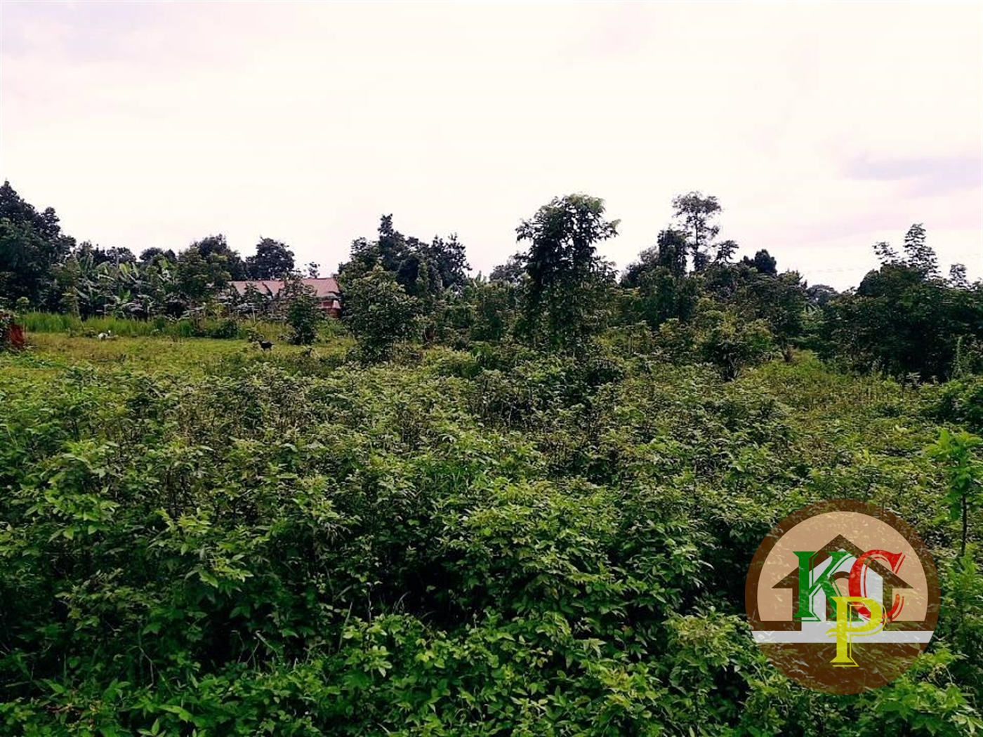 Residential Land for sale in Matugga Wakiso