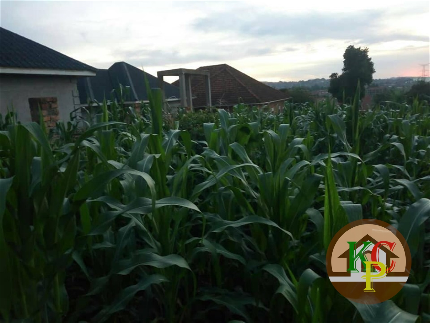 Residential Land for sale in Najjera Kampala