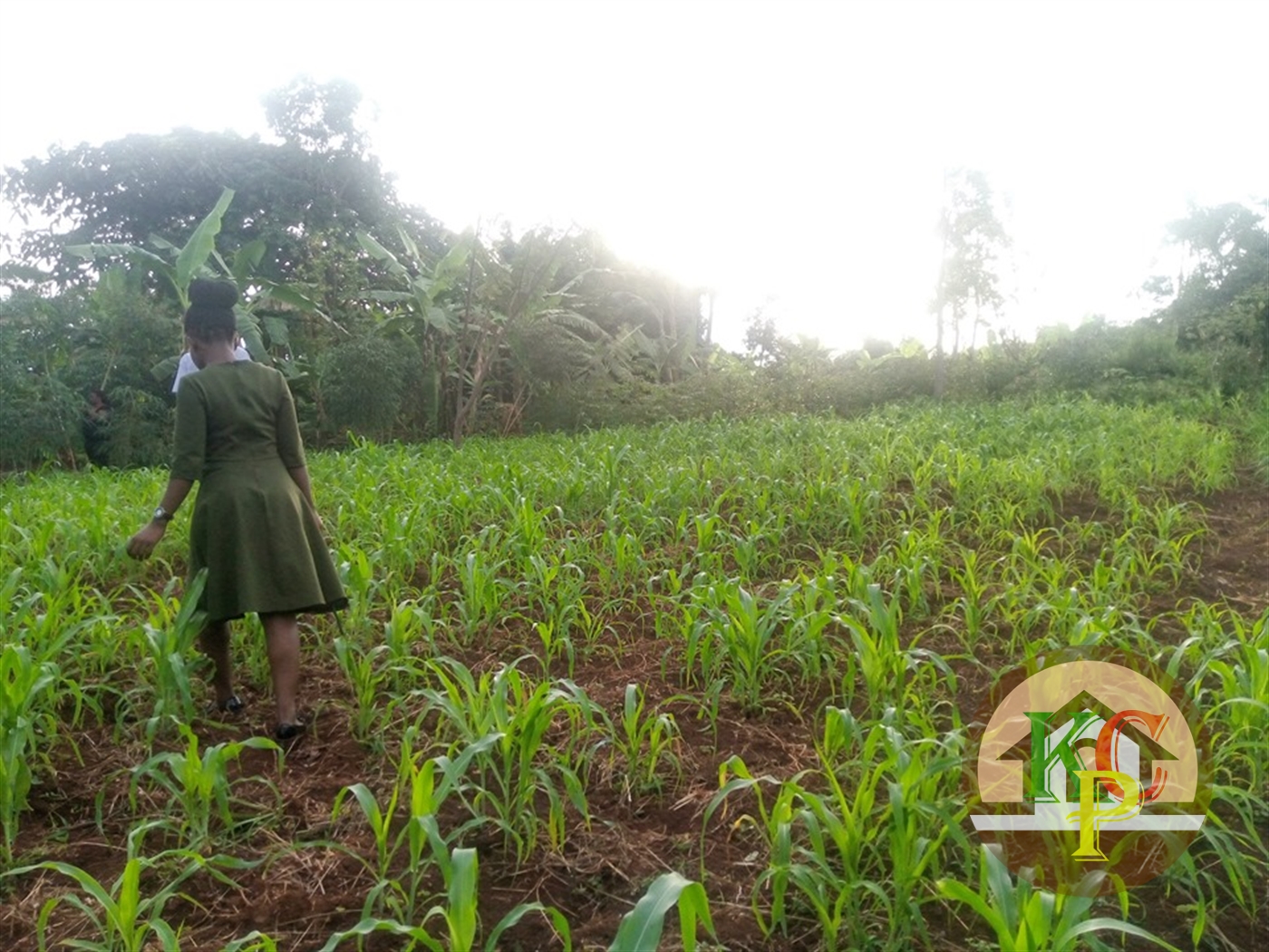 Residential Land for sale in Kisoga Mukono