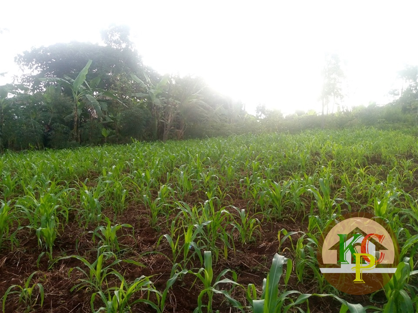 Residential Land for sale in Kisoga Mukono