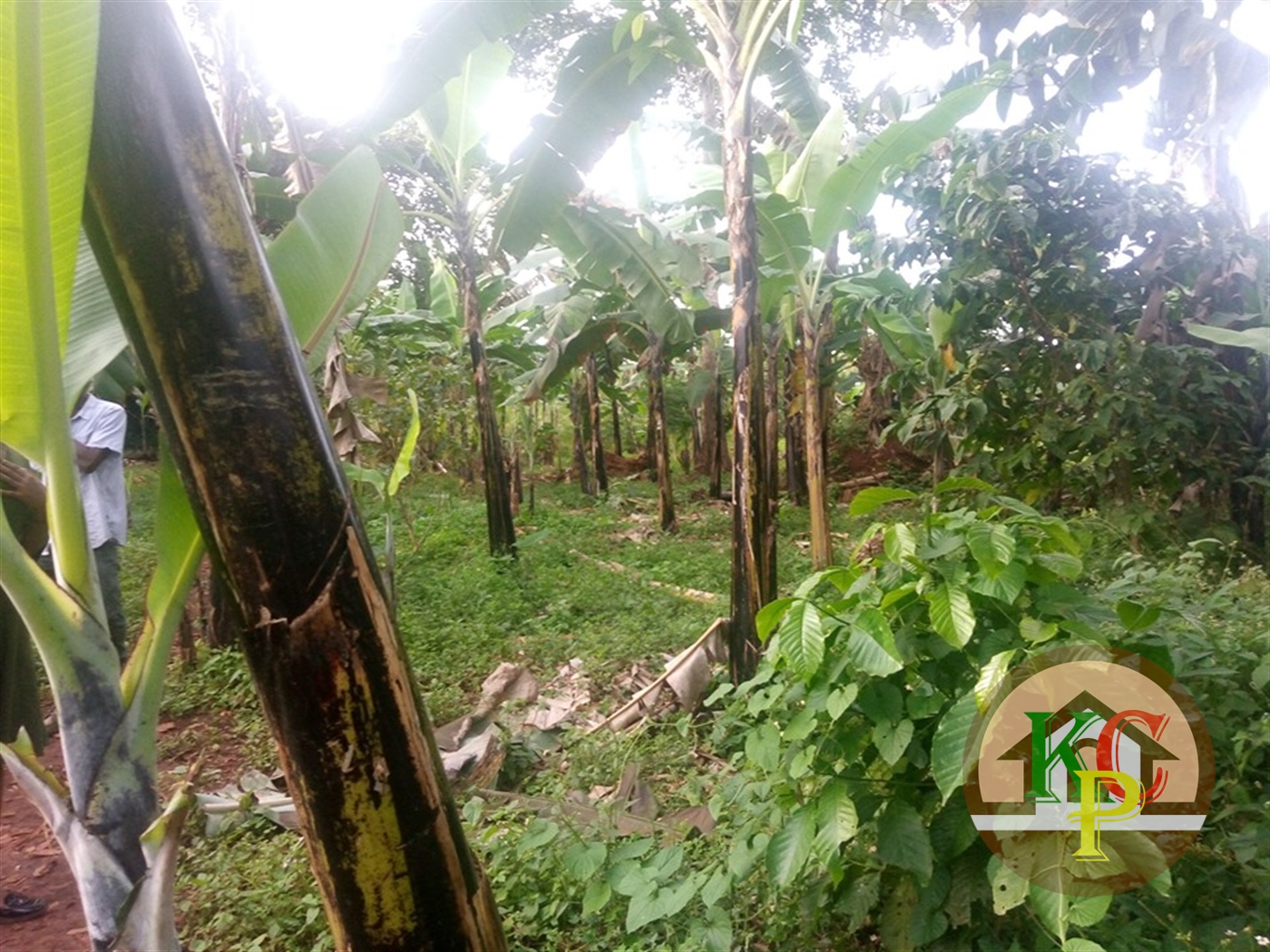 Residential Land for sale in Kisoga Mukono