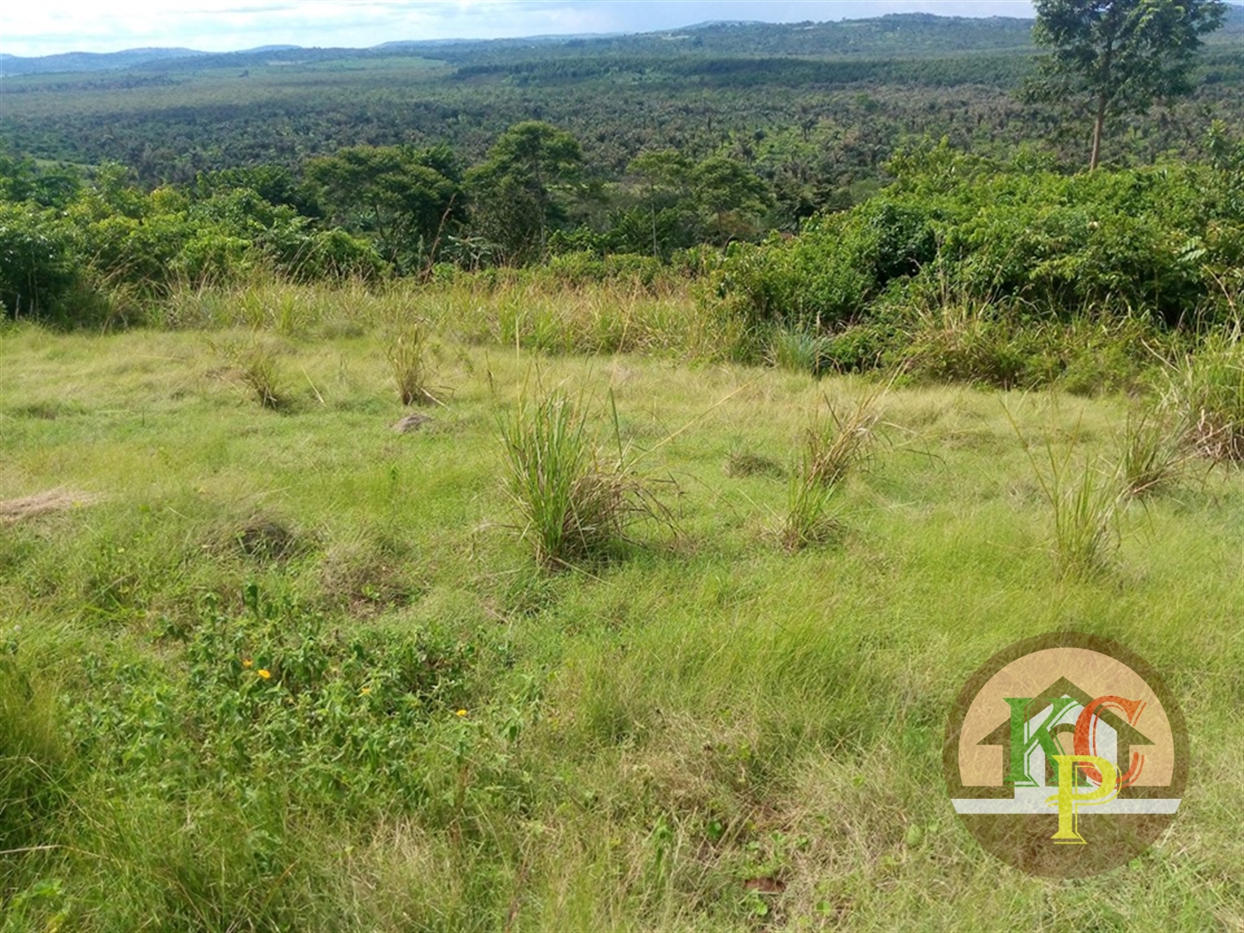 Agricultural Land for sale in Nkokonjeru Mukono