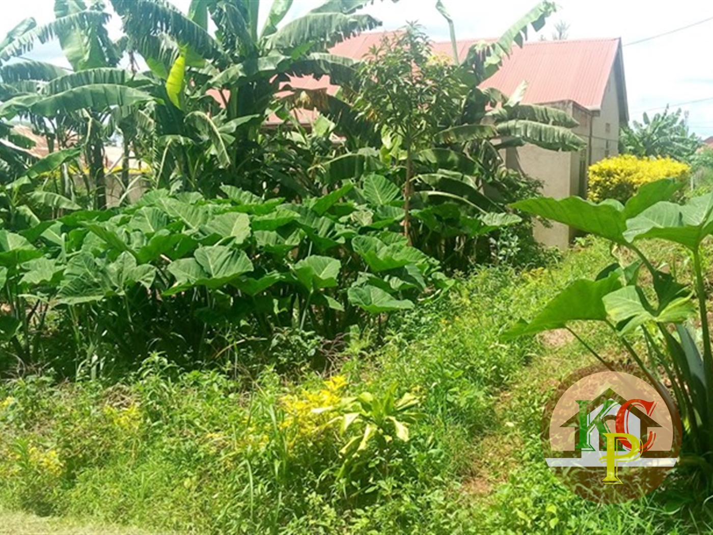 Residential Land for sale in Seeta Mukono