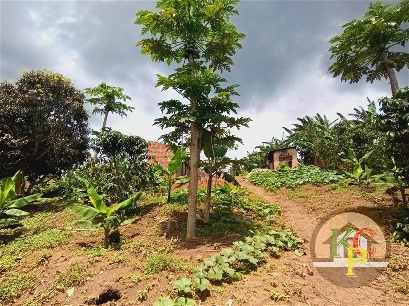 Agricultural Land for sale in Nakawuka Wakiso