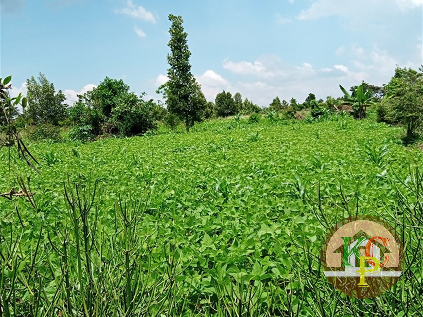 Agricultural Land for sale in Nakawuka Wakiso