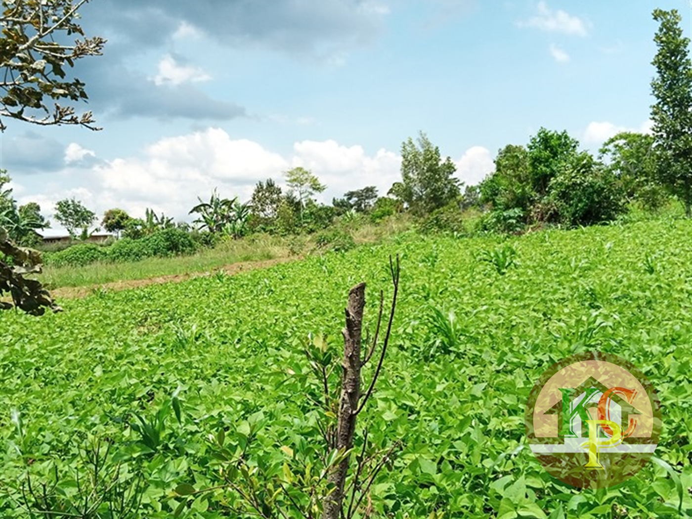 Agricultural Land for sale in Nakawuka Wakiso