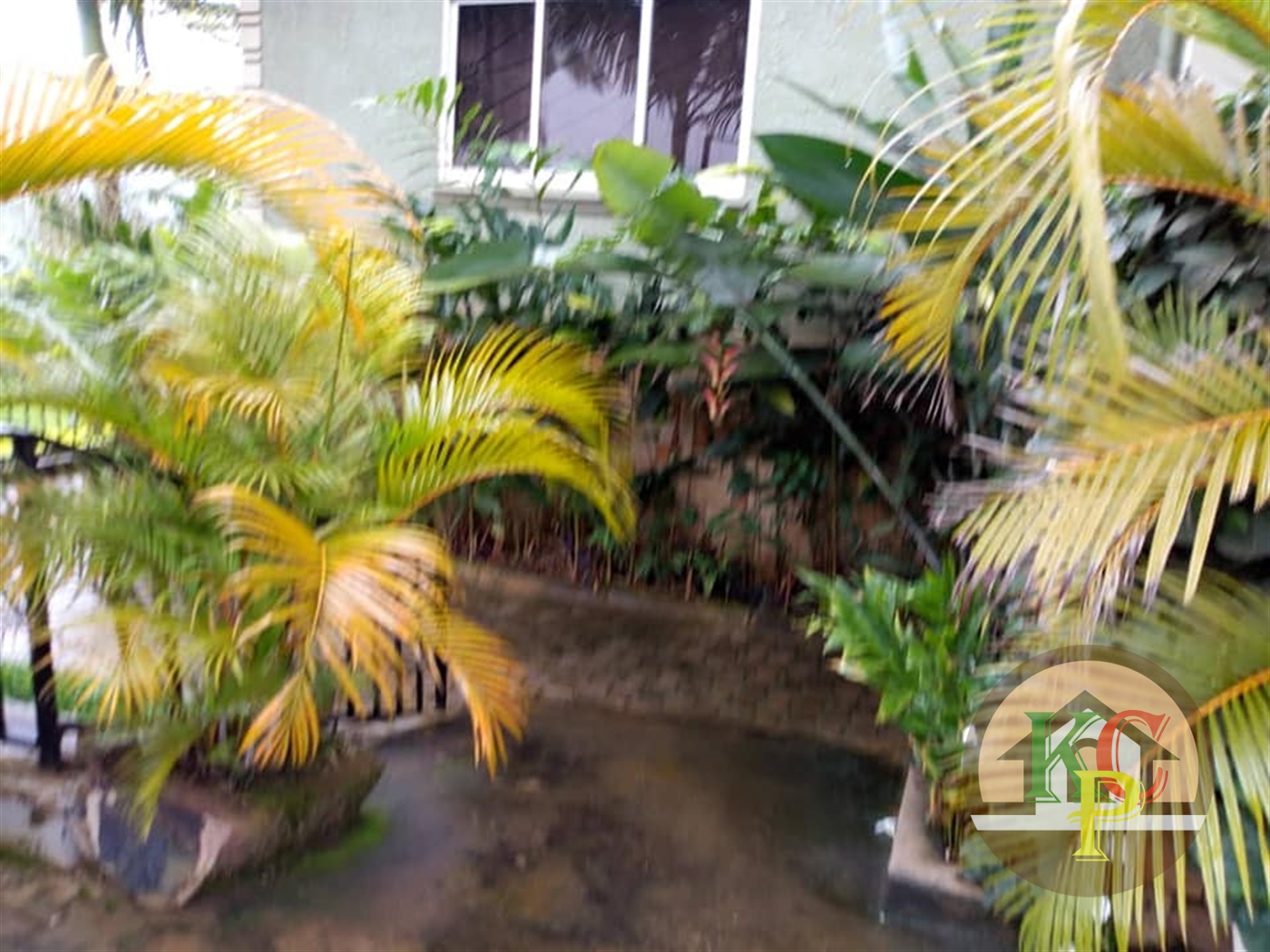 Bungalow for rent in Najjera Kampala