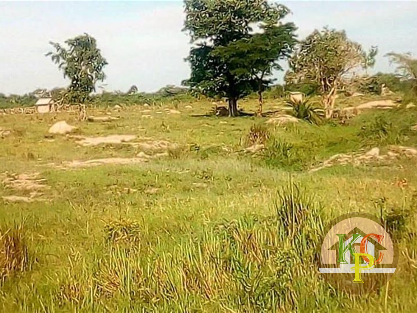 Agricultural Land for sale in Mutukula Masaka