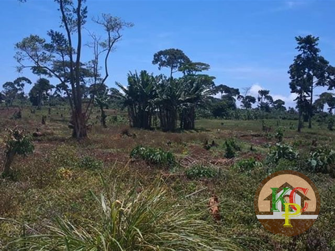 Agricultural Land for sale in Bugaba island Wakiso