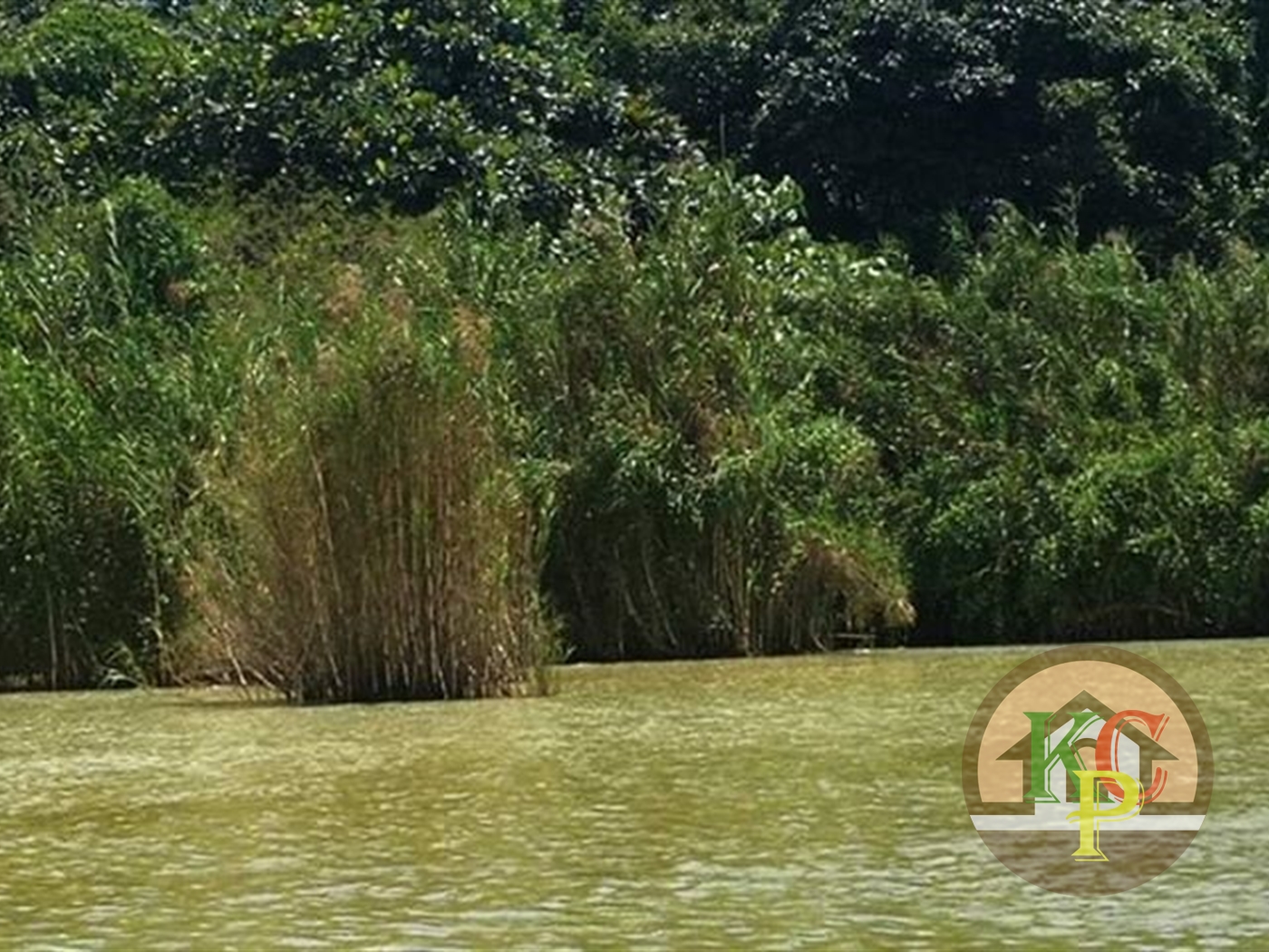 Agricultural Land for sale in Bugaba island Wakiso